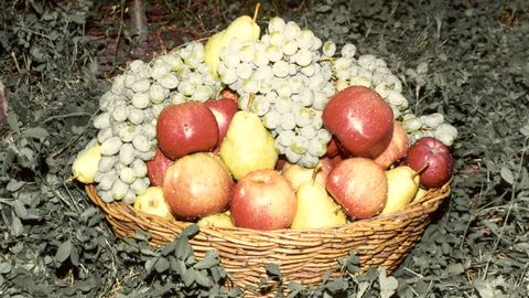 A wicker basket filled with apples, pears and grapes