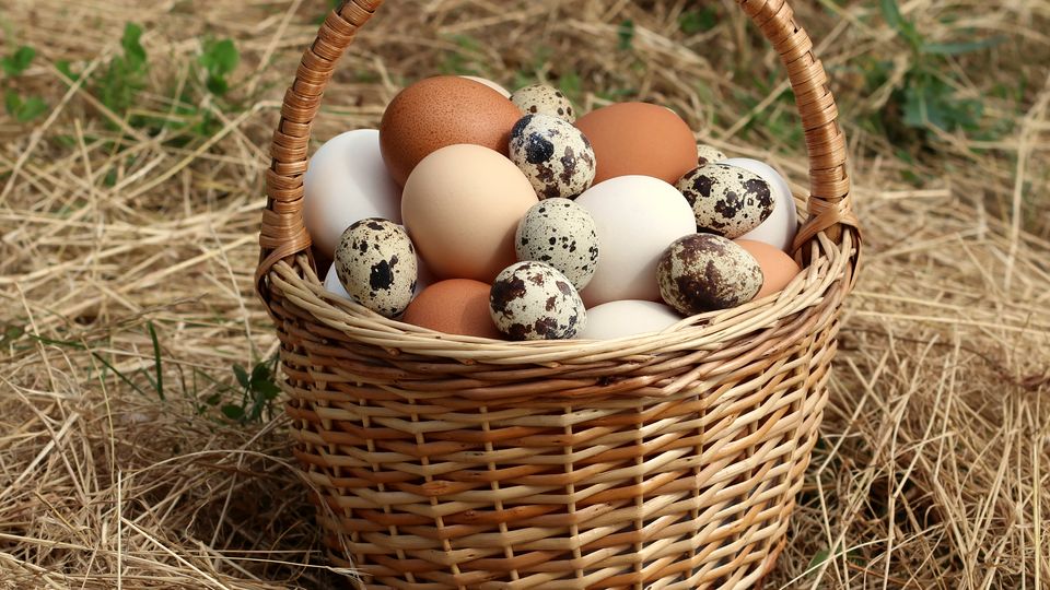 A wicker basket of brown eggs resting on straw